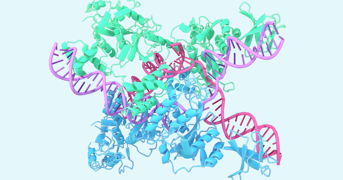 Dna protein